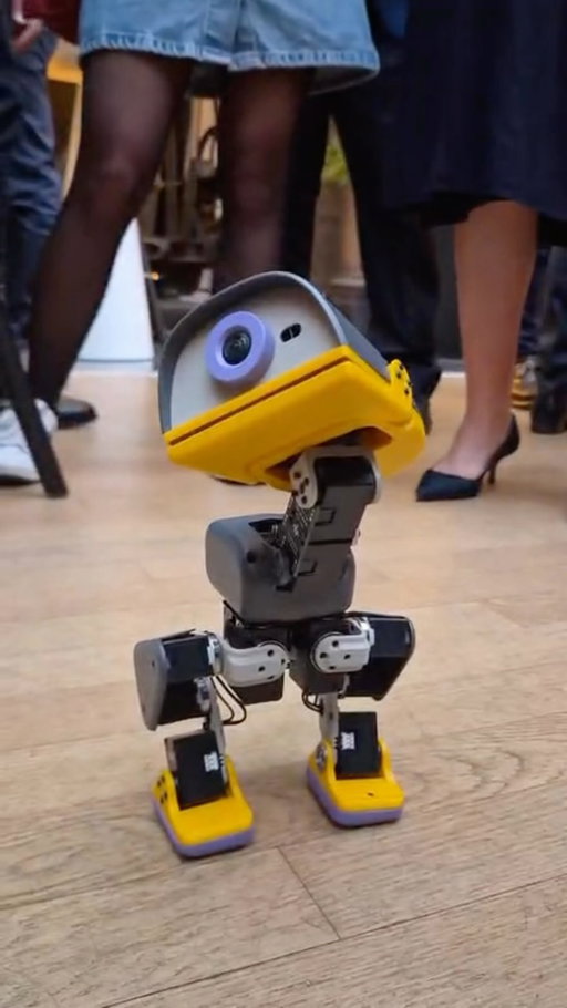 Our Paris reception had a very cute plus one. 🦆

Meet Microduck. @pollenrobotics