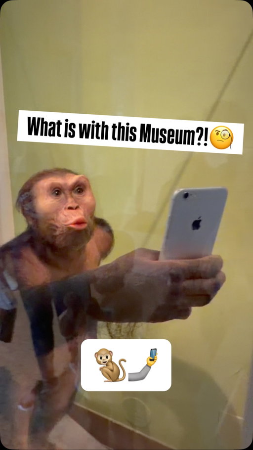 Can a museum lose brain cells after us? 🧐

#smithsonian #washingtondc #museum #naturalhistorymuseum #funny