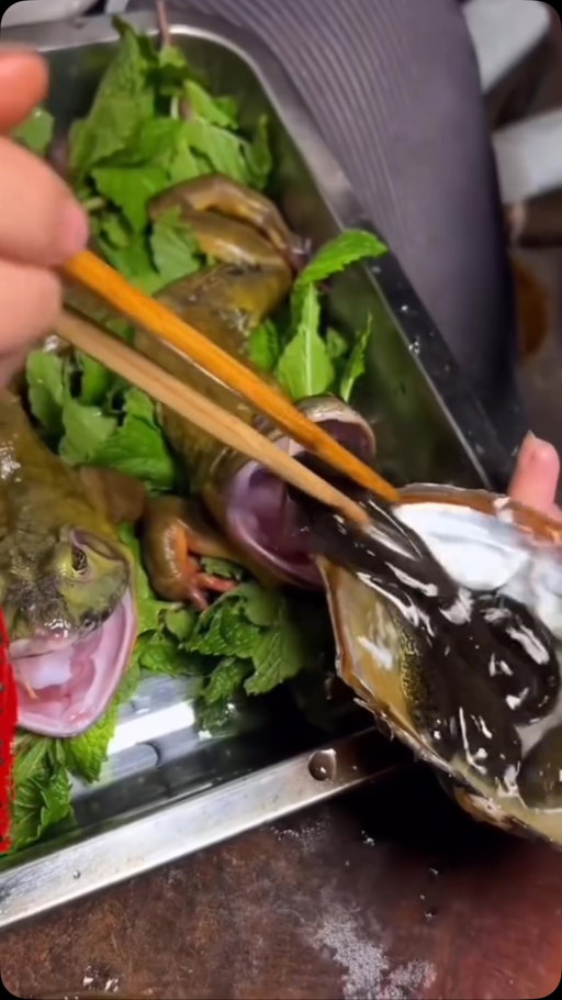 Would you try this frog recipe? 🐸🍲🍽️