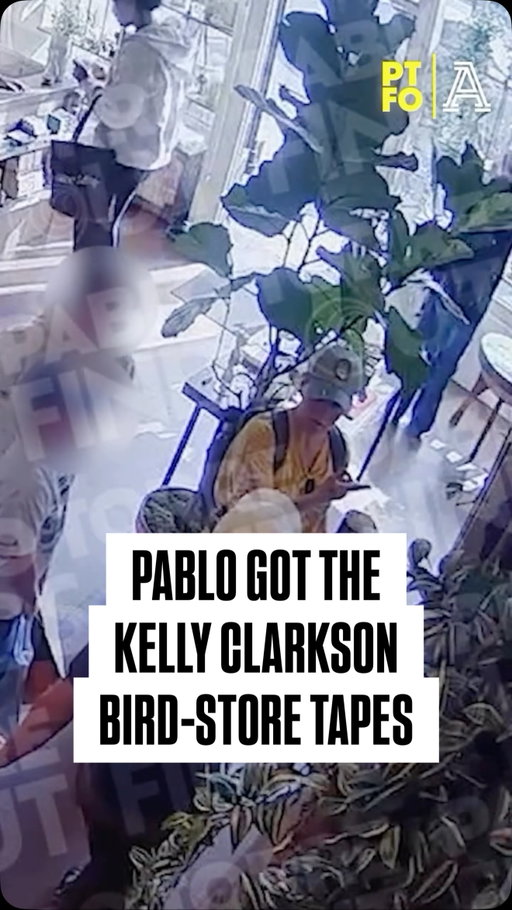EXCLUSIVE: Security footage shows Kelly Clarkson’s $15,000 mechanical-bird encounter — and what happened on her way out of the tiny Brooklyn shop.
 Was the singer’s “Karen moment” worth the “Pretty Woman” fallout?

Watch the full episode with @PSTorre, @DarthAmin and Wyatt Cenac — plus the full security videos — at the link in bio 🐥
