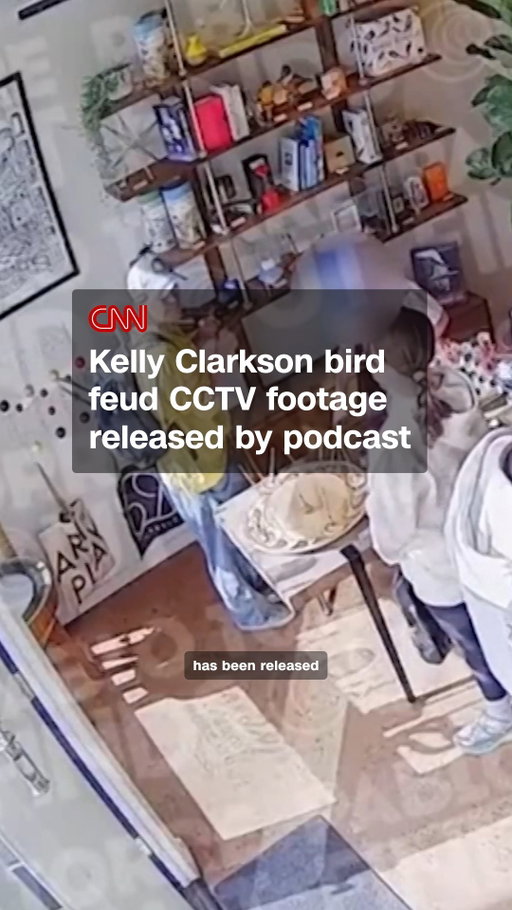 Surveillance footage from Kelly Clarkson’s dispute at a toy store in Brooklyn has been released. The footage was exclusively obtained by podcast “Pablo Torre Finds Out.” It comes after Clarkson’s tweet about the incident – apparently involving a $15,000 mechanical bird called Molly - went viral, where she said the shop treated her like she couldn’t afford it. The store has offered a different version of events. The CCTV footage is mute and it’s not clear how it was obtained.