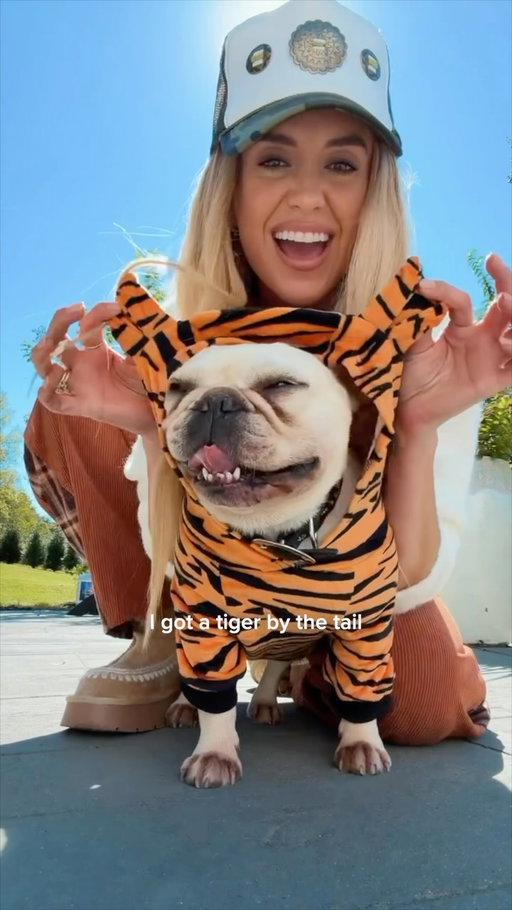 kinda love this tiger 🐯