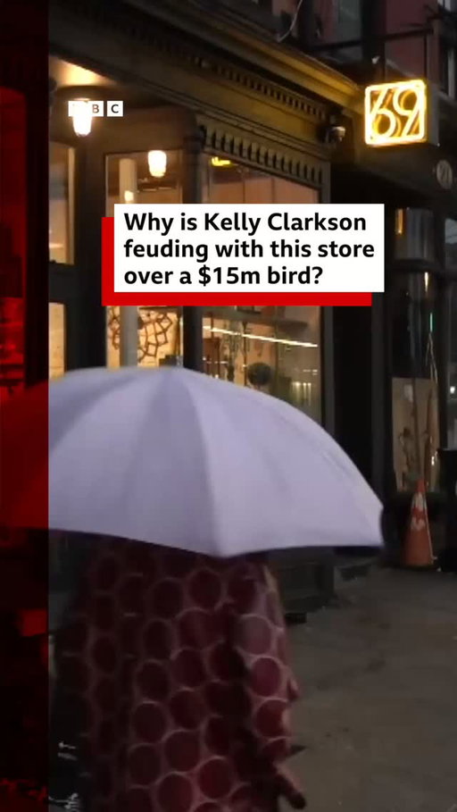 A boutique store - called Art of Play - has found itself at the centre of a social media storm, after Grammy winner Kelly Clarkson complained online that the shop would not let her buy a singing and dancing mechanical bird that was on the wall.
 
Clarkson claimed she was "looked at as if I couldn't afford" the bird - which she said had a price tag of $15,000 (£11,000).
 
On social media, the store has defended how it treated the star, saying that the bird isn't for sale.
 
#BBCNews