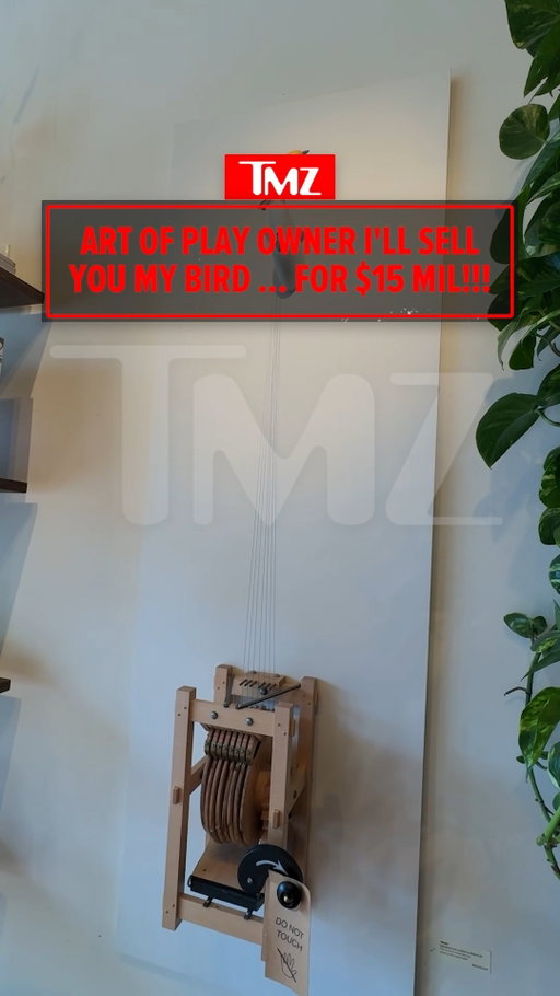 🚨🐤 After allegedly insisting to Kelly Clarkson that Molly the singing bird wasn't for sale, Art of Play is singing a different tune ... the art installation is now on sale ... with a $15 million price tag.