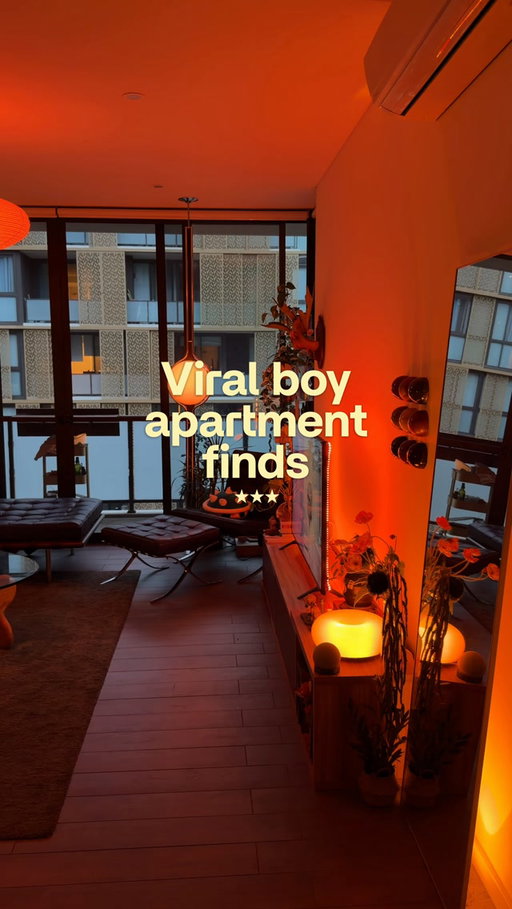 Sharing some new fun stuff 😎⭐️
#coolfinds #boyapartment #homedecor #interiordecor #dreamhome