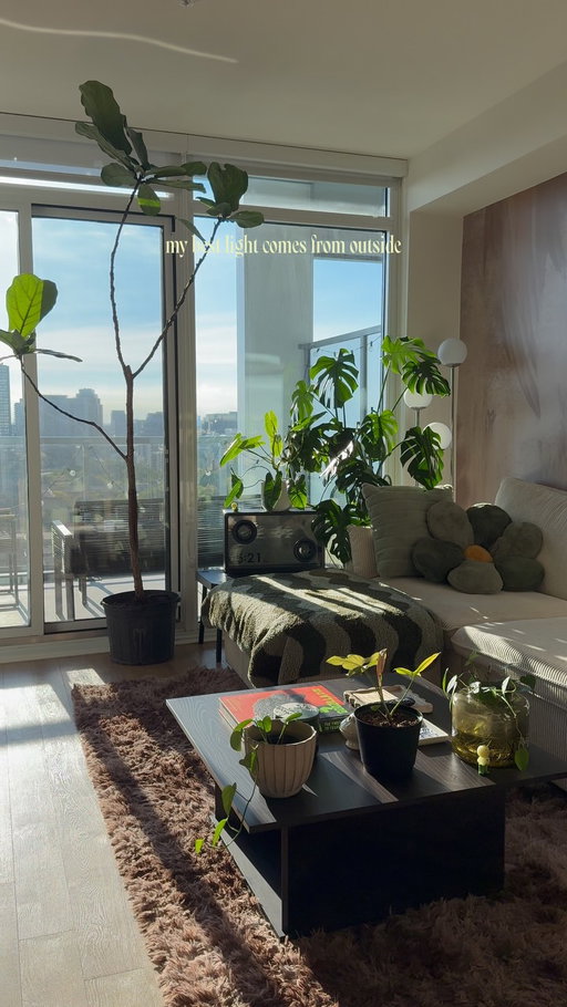 That west-facing sunlight never fails to impress👌🏼

#interiordesign #houseplant #cozyhome #homeinspo #homedecor 

decor, homedecor, interiordesign, interiorstyling, cozy, cozyhome, homeinspo, organicmodern, plants, houseplants, myhome, instahome, boyapartment, apartment, ambientlighting, ambient, cozyhomes, aesthetichome, design, lifestyle, boyloft, loft, renterfriendly, smiski, betta, betta fish, small apartment, small home, city apartment, boy home