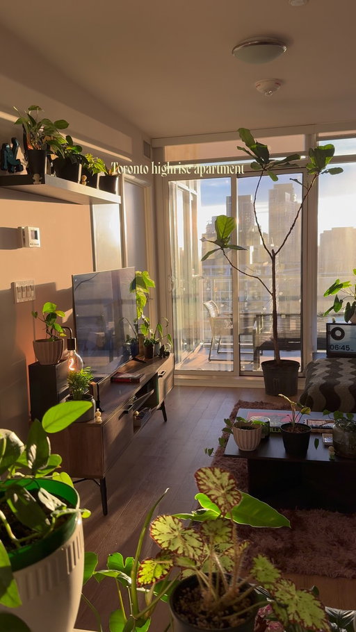Welcome to my downtown urban jungle🌳🖤

#interiordesign #houseplant #cozyhome #homeinspo #homedecor 

decor, homedecor, interiordesign, interiorstyling, cozy, cozyhome, homeinspo, organicmodern, plants, houseplants, myhome, instahome, boyapartment, apartment, ambientlighting, ambient, cozyhomes, aesthetichome, design, lifestyle, boyloft, loft, renterfriendly, smiski, betta, betta fish, small apartment, small home, city apartment, boy home
