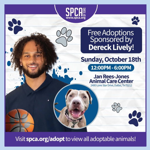 🏀 Blocking adoption fees and helping pets make the ultimate fast break home. 🐾
In honor of National Pit Bull Awareness Month, Dallas Mavericks center @derecklively  is sponsoring a "Block Party" this Sunday 10/18, covering adoption fees for ALL available pets. 💜
 
Dogs, cats, puppies, kittens... your new family member could be waiting to meet you.

Looking for a couch cuddle buddy? A walking partner? A loyal sidekick who thinks you're the greatest thing on earth? This might be your day.
 
2400 Lone Star Drive, Dallas
12-6 p.m.
Walk-ins welcome!
Come meet your future best friend. Dereck's already covered your adoption fee. 🐾
 
#adoptdontshop #adoptme #newbestfriend #shelterpet #nationalpitbullawarenessmonth #nationaladoptashelterdogmonth