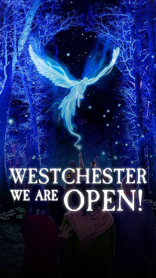 After 4 years, Harry Potter: A Forbidden Forest Experience has opened its gates again in Westchester! ✨🌲

With new photo opportunities and interactive spellcasting moments, this is a must-visit for everyone who has walked this trail with us before, and to everyone about to take their very first step into a Forbidden Forest. 

🎟️ Tickets at the link in bio!

#HPForbiddenForestExperience #HarryPotter #Westchester