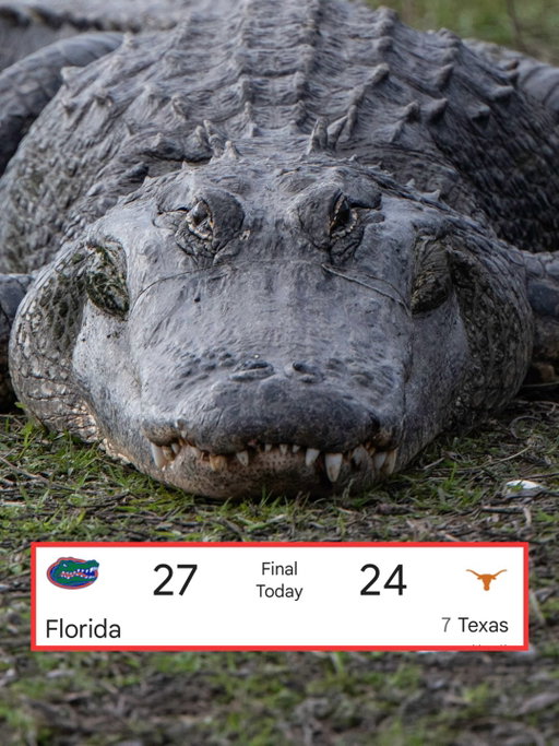 HOW BOUT THEM GATORS 🐊 @overtimeszn