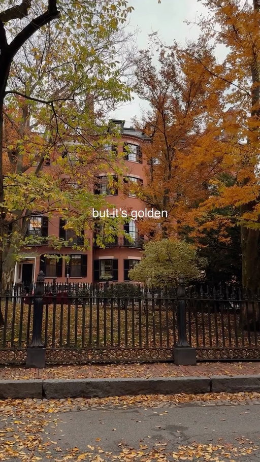golden autumn in boston