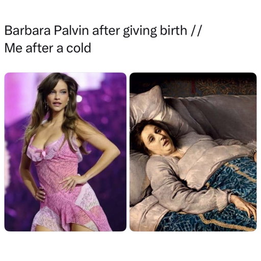 She can literally do it all 

Barbara Palvin is a Hungarian supermodel who became a Victoria’s Secret Angel in 2019 and has been a familiar face on the brand’s runway for years. Known for her appearances in major fashion campaigns and her marriage to actor Dylan Sprouse, she’s become a fan favorite for her glamorous looks and playful personality.

The comparison is especially funny because getting sick can make even the most basic tasks feel impossible. One day you’re functioning like a normal person, and the next you’re lying in bed with a stuffy nose, wondering if you’ll ever experience happiness again. Meanwhile, some people seem capable of walking a runway looking flawless after going through something considerably more physically demanding.