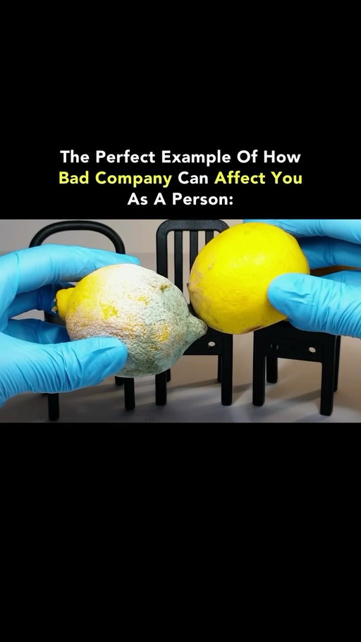 You become who you spend your time with, whether you notice it or not. 🧠⚠️

The people you spend time with influence what you accept, how you treat others and what you expect from yourself. That influence can be difficult to notice when it comes from people you care about.

If dishonesty keeps getting excused, disrespect gets laughed off and every effort to improve gets dismissed, give yourself some distance. You don’t have to wait until their habits become yours.

Pay attention to how you feel and behave around someone. A friendship should leave room for your values, your goals and your ability to say no.

Choose people who keep their word, respect your boundaries and want to see you do well. People who support your progress and can tell you the truth without putting you down.

You can care about someone and still be careful about how much influence they have in your life.

Protect the person you’re working to become by being thoughtful about who you keep close.

Follow @Wealth to learn valuable advice every time you open Instagram. 🌟

Media: Photo Owl Time Lapse

#Wealth #LifeLessons #PersonalGrowth #Friendship #Motivation
