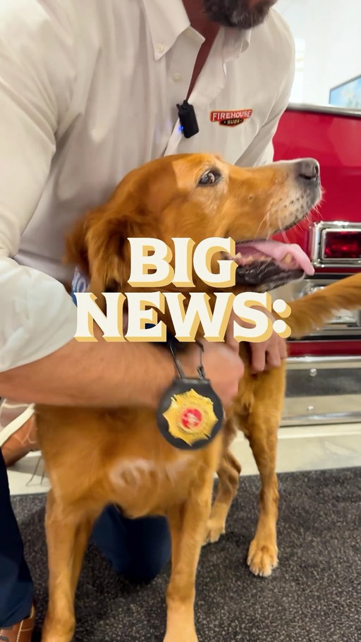 🚨 Big News 🚨 National First Responders Day is coming up and this year we’ve got two great ways to give back to our heroes (including four legged ones!)

1) Hook & Ladder Sub fundraiser on Wednesday 10/28.
2) New K-9 Crew: 3 collectable plushies based on real hero pups

The best part? 100% of [proceeds]* will support @firehousesubsfoundation

We’d love for you to get involved. And as always, thank you to all you First Responders out there.

#NationalFirstRespondersDay #FirstResponders #FirehouseSubs