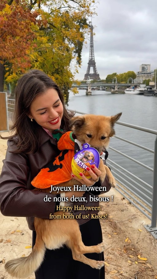 Bientôt Halloween ?? 🎃 After nights of Meimei not sleeping well, she deserves a surprise. 🐾

Meimei’s pumpkin sweater, trop chou ! Matches with JOY&TOY! surprise eggs for cats & dogs: a fun little surprise for our furry friends! 🐶🐱 Now available in selected @carrefourfrance across France. 🇫🇷

Do you spoil your pets for Halloween? 

collaboration commerciale #dogmom #paris #CarrefourFrance #Halloween