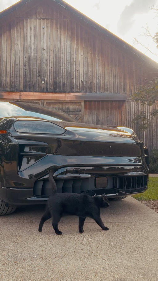 The perfect autumn setup doesn’t ex— 🐈‍⬛🍂 (Approved by the resident black cat, of course.)

 📍 @porscheofnashville