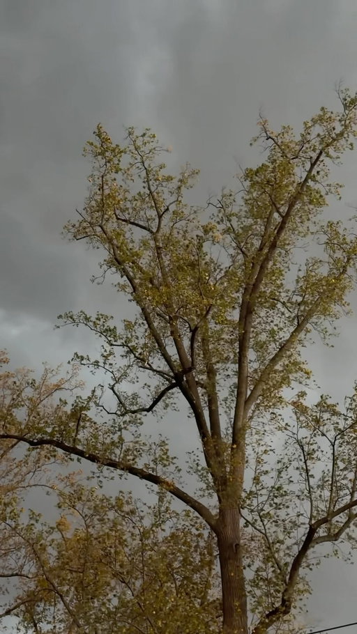 October air