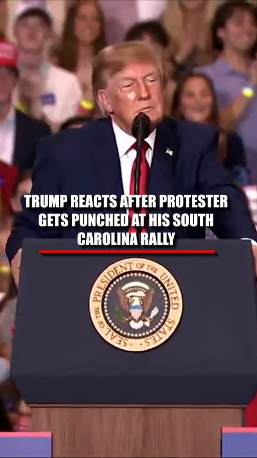 A protester appears to get punched during President Trump's South Carolina rally, and the president stops his speech to react to the commotion.

"Who threw that punch?" Trump asks, pointing toward the crowd before comparing the person who struck the protester to boxing legend Evander Holyfield.

"You reminded me of Evander 'The Real Deal' Holyfield," Trump says, describing how the protester was struck while shouting.

Download the Fox News app or go to Foxnews.com for more.