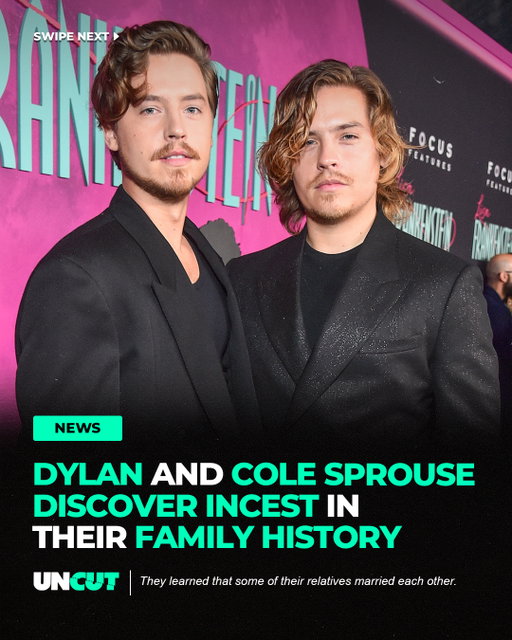 Dylan Sprouse revealed that he and his twin brother Cole discovered a surprising secret about their family history after researching their ancestry 🔥⁠
⁠
He explained that some of their ancestors were related and married each other. When Dylan called Cole to share the discovery, Cole reportedly hung up because he didn't want to hear any more 📳⁠
⁠
What do y’all think⁉️👀
