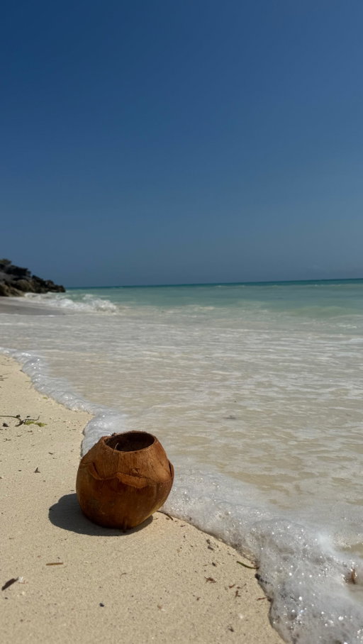 Asante Zanzibar🤩🩵 

Clear waters, wildlife, beautiful sandbanks, the best hostel, and good vibes✨🏝️

I came to this island as a solo traveler and left with friends for life✨ I’ll never forget it xx

#solotraveldiaries✈️🌍 #visitzanzibar #visitafrica #hostellife #islandvibes
