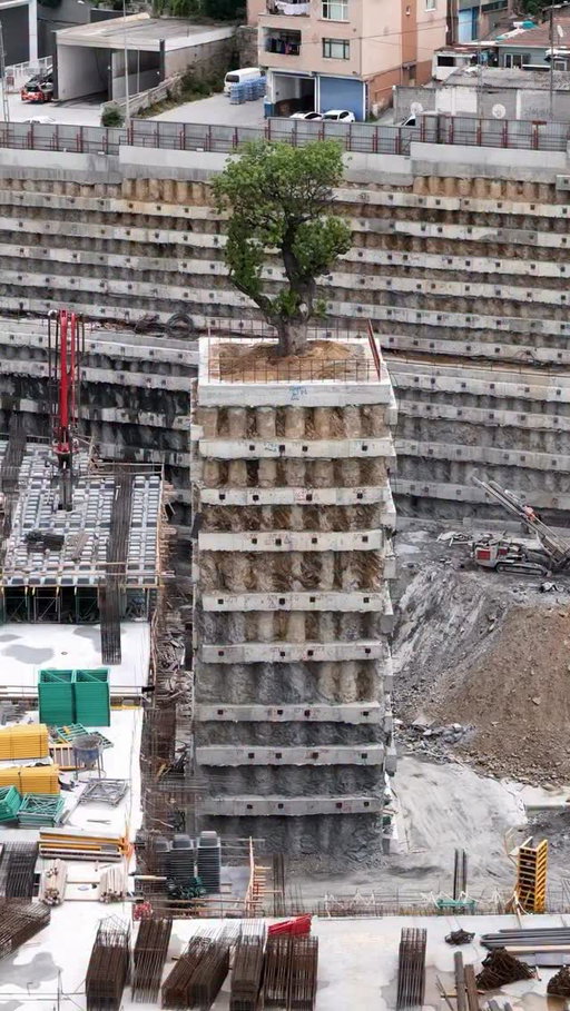 When there's one tree in the middle of your construction site that needs protecting 🌳😅

Some serious engineering taking place over at Istanbul's Golden Horn Development. 

🎥 Ahmet Faruk Sarıkoç

#architecturelovers #construction #TheB1M #engineering #makeconstructionfamous
