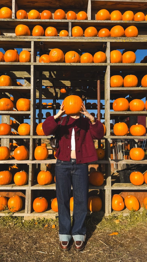 Me & my little pumpkin 🥹🎃🍁🍂 This time next year we’ll be back but with a 7month old 🥰🎀

So adorable seeing parents taking pictures with their little ones 😭 I’ve always loved this time of the year and I’m excited for how magical we can make it year after year with our own family 💗