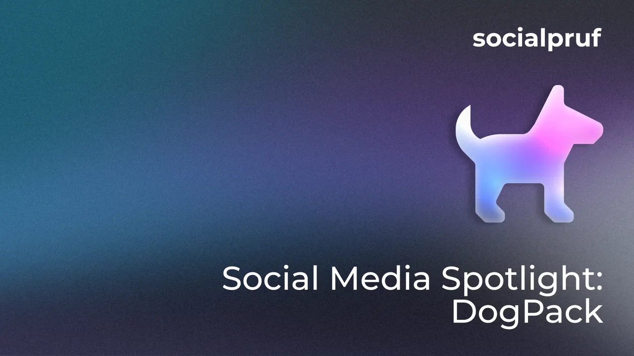 Social Media Spotlight: DogPack