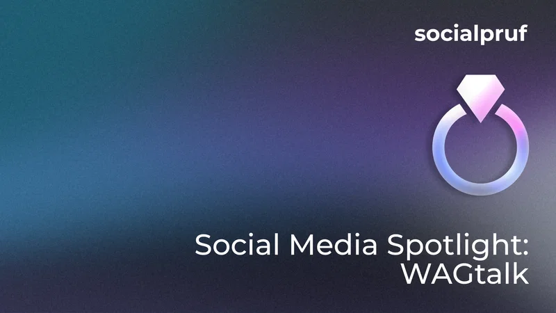 Social Media Spotlight: WAGtalk