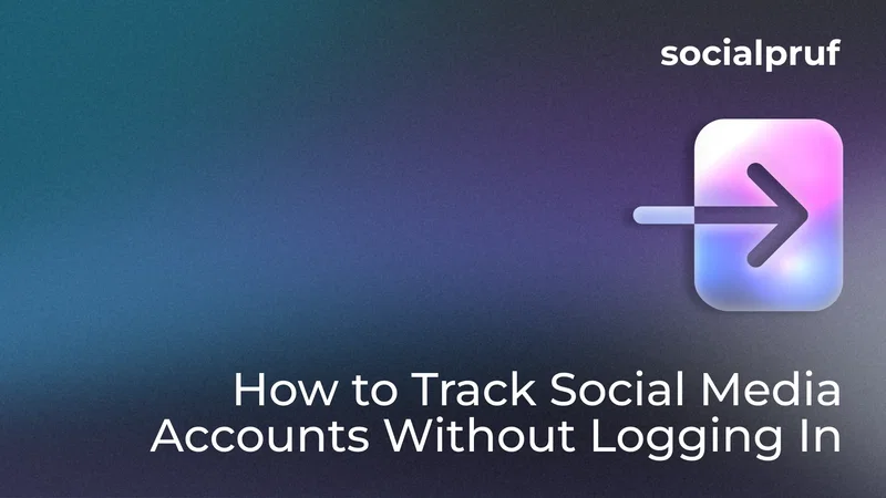 Multiple social media accounts organized in Socialpruf Analytics