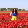 charlotteswonderland