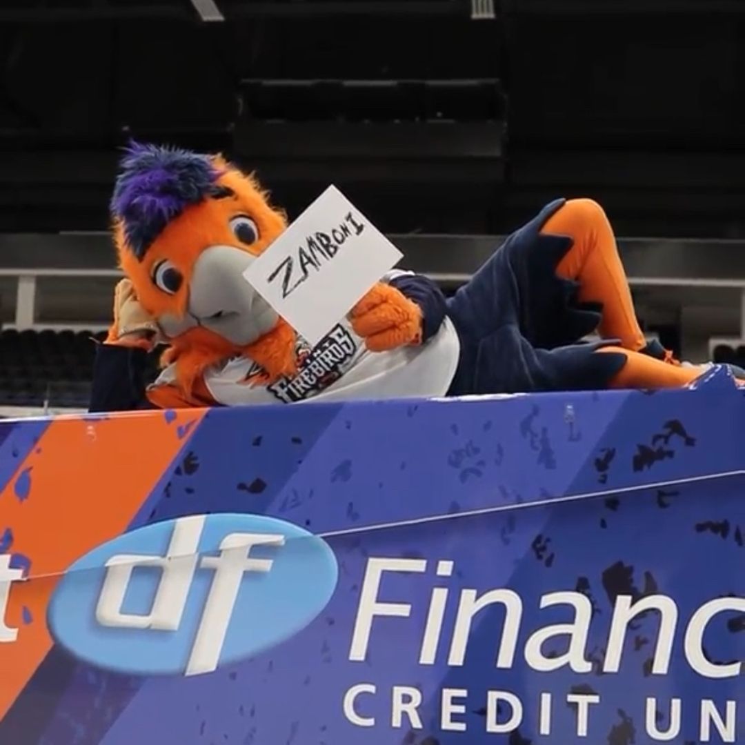 flintfirebirdsofficial