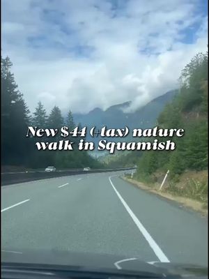 What do you think? 🌲👀 #squamishcanyon #vancouver #squamish 