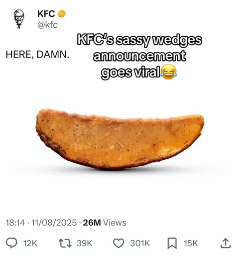 #kfc #wedges #kfcsecretmenuhacks #meme 
