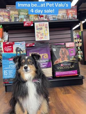 We'll be at the 4-day sale, will you? 👀 Shop in-store or online until Aug 17: https://www.petvalu.ca/collection/4-day-sale
