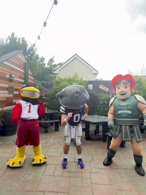 Let’s be honest…. Brave has got a lot of work to do before game day 😅 #MuchMoreThanAGame | #TouchdownDublin | #TouchdownIreland @Aer Lingus @K-State Football @Iowa State Football @kstatesports 