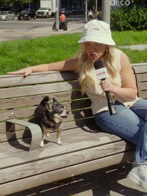 Can you trust money advice from strangers? Spoiler: Probably not. Chat with a CIBC advisor instead!