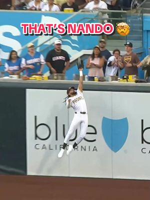 THAT’S NANDO 🤯 #MLB #baseball #highlights #catch 
