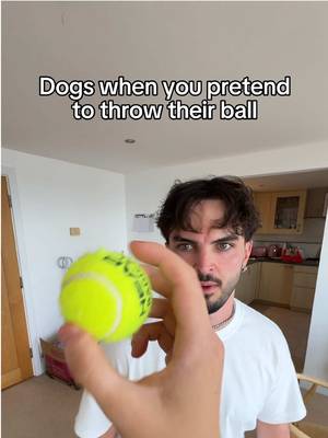 my owner is a magician 