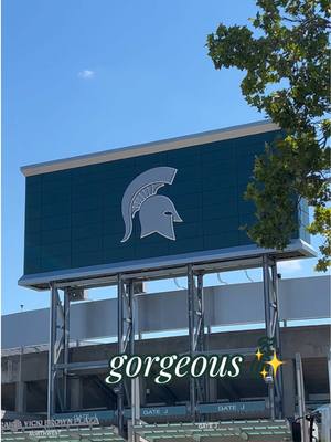 new season, new boards 🤩 see you guys for game one at Spartan Stadium next week! #michiganstate #spartans #fyp #sparty #msu 