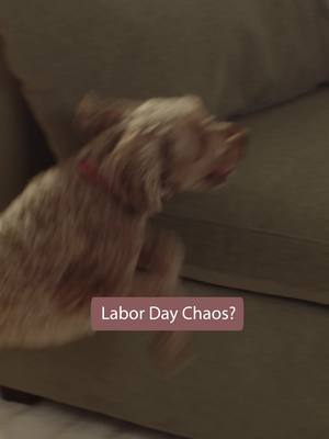 Don’t miss it! Labor Day savings up to 45% off sofas and armchairs.