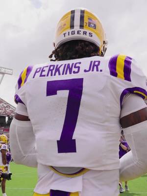 1 week. #lsufootball #sec #geauxtigers #CollegeFootball 