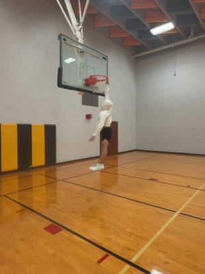 haters gonna hate 😛 #basketball #bf #dunk #foryoupage #viral @tyscheler_12 