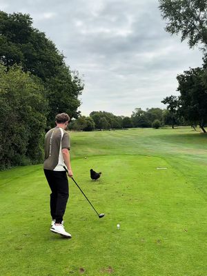 you don’t see that everyday #fyp #golf 