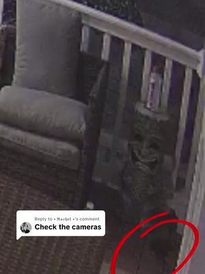Replying to @• 𝕽𝖆𝖈𝖍𝖊𝖑 • Security footage shows the ribs appeared out of nowhere 