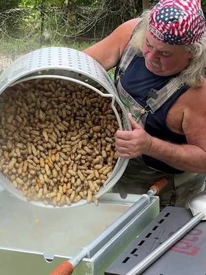 Boiling Peanuts! #southern #peanuts 