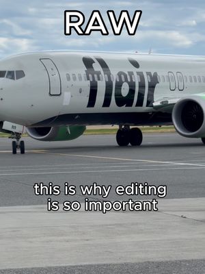 Editing changes EVERYTHING 👍👍👍  #raw #edit #plane #bird #Summer  