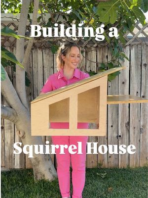 What do they need inside?! 🐿️  #squirrelsoftiktok #miniature #miniatures #dollhouse #tinythings 