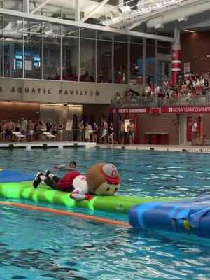 Is there anything @Brutus Buckeye can’t do? 👏🤿