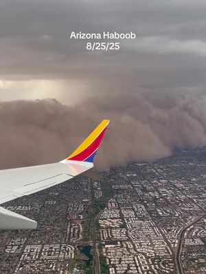 Imagine it’s your first time in Arizona… and you land in THIS 🫨🌪️ #haboob #arizonaweather #duststorm 