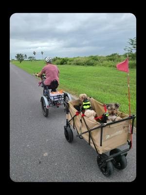 The wait is over! 🎊 The XP Trike2 750 is here - built for more comfort, more stability, more power, and more adventure! - Up to 17.5 Ah of battery life - 750 Watt motor option - Improved stability and center of gravity - Cloud50 front suspension Oh, and did we mention fresh new paint jobs? 👀 https://lectricebikes.com/collections/xp-trike